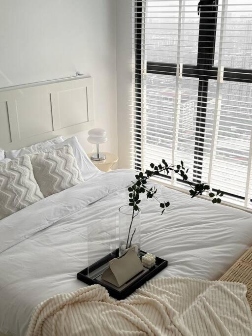 Snowy Ins Trion Kl 2r2b Apartment *